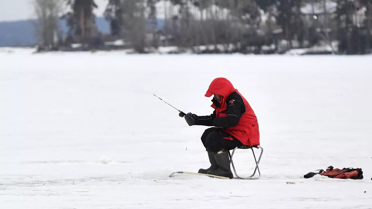 рыба